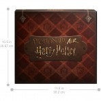 Piktogramm Air Harry Potter